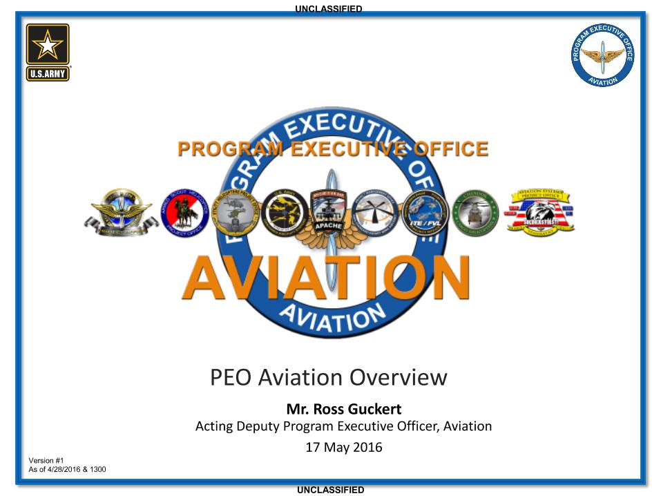 Program executive officer aviation services